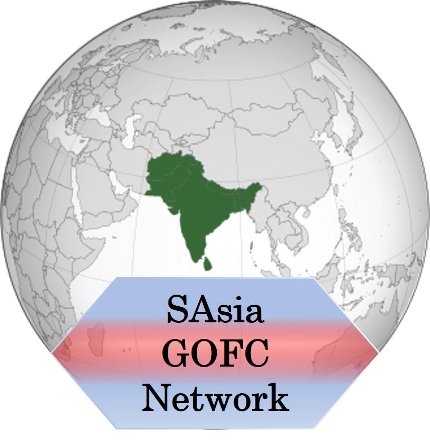 South Asia Network