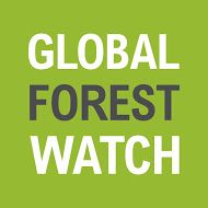 Global Forest Watch